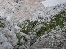 Klik za večjo sliko